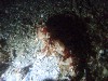 sm_p6283288.jpg