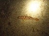 sm_p6283290.jpg