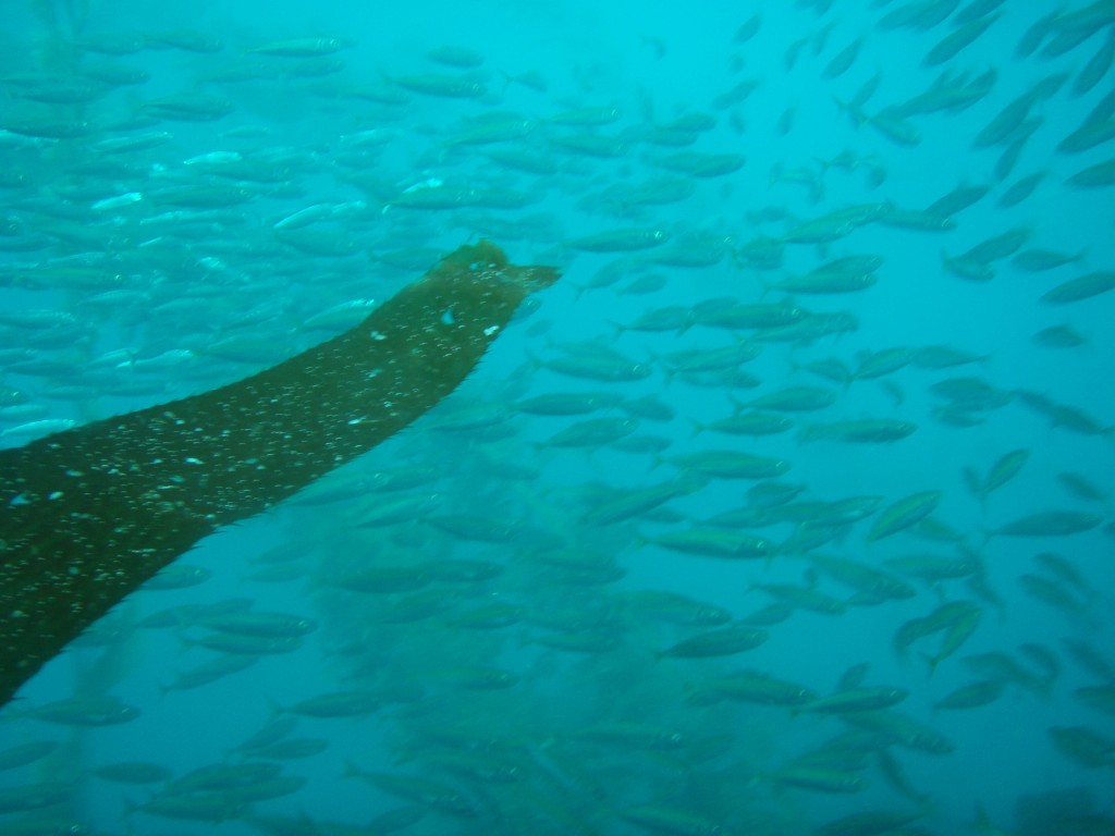 sm_P7063957.JPG