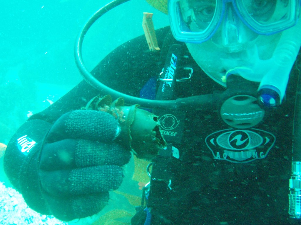 sm_P7063978.JPG