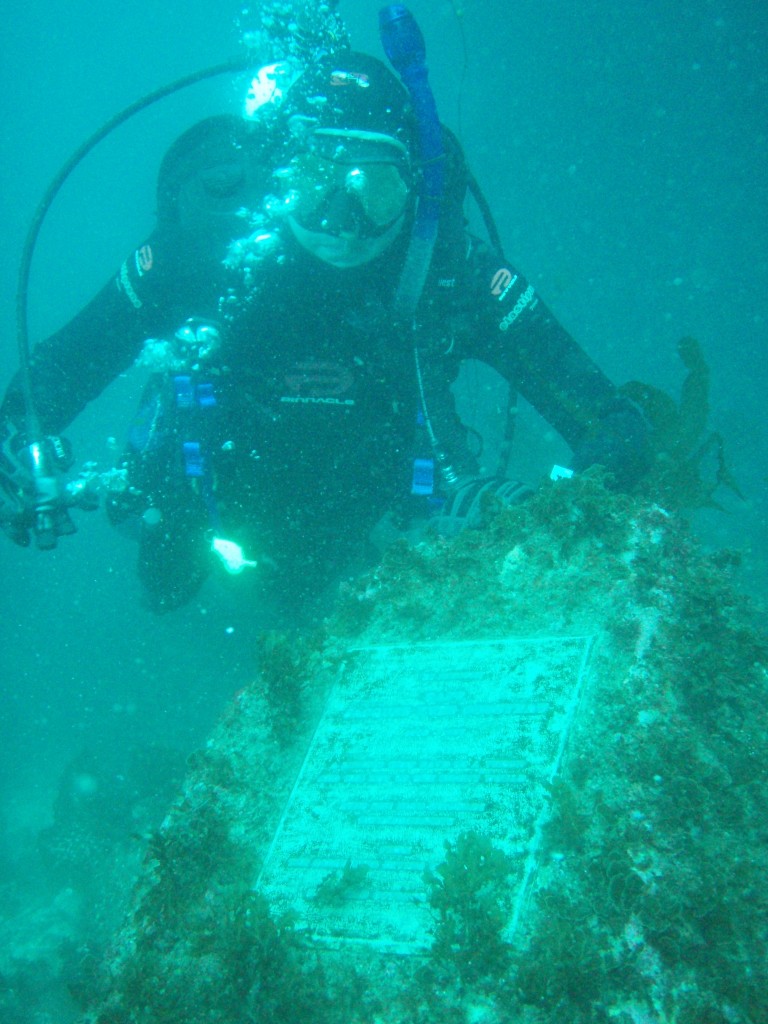 sm_P7063991.JPG