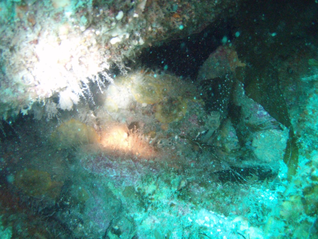 sm_P7063993.JPG