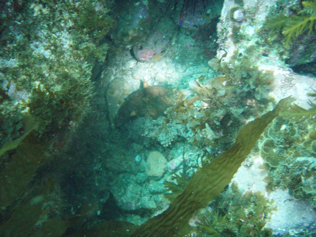sm_P7063997.JPG