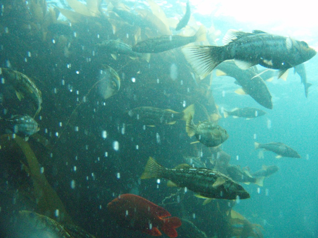 sm_P7064001.JPG