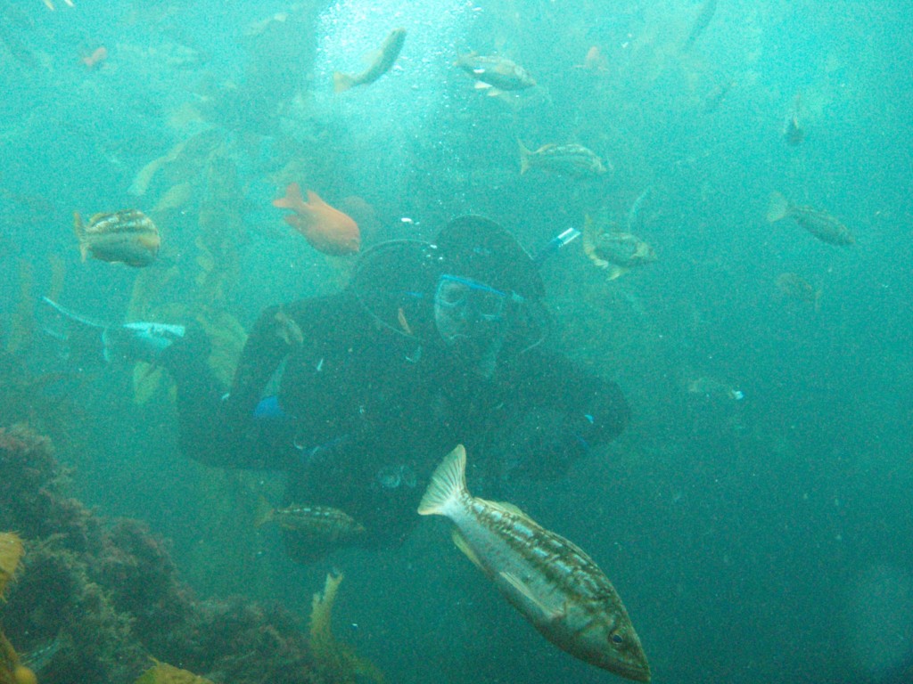 sm_P7064004.JPG