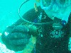 sm_P7063978.JPG