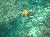 sm_P7063981.JPG