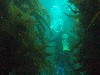 sm_P7063982.JPG