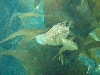 sm_P7063983.JPG