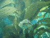 sm_P7063984.JPG
