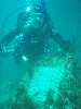 sm_P7063991.JPG