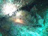 sm_P7063993.JPG