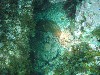 sm_P7063996.JPG