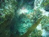 sm_P7063997.JPG