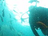 sm_P7063999.JPG