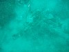 sm_P7064015.JPG