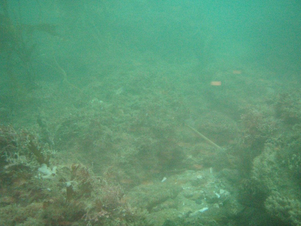 sm_P7134032.JPG