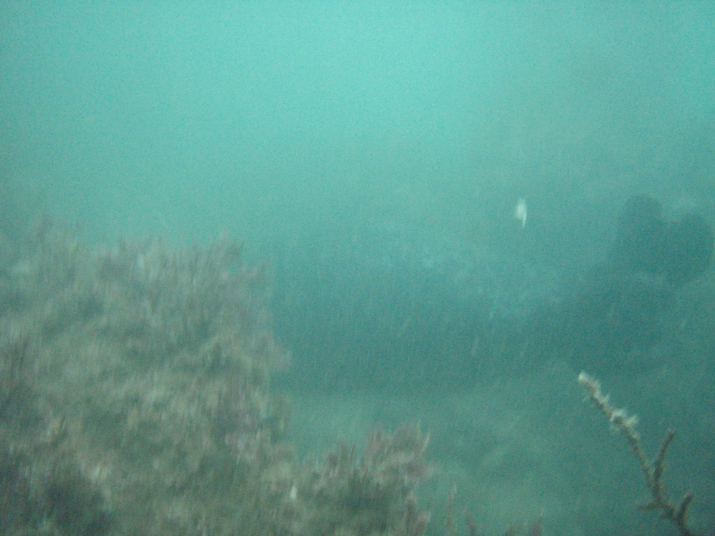 sm_P7134037.JPG