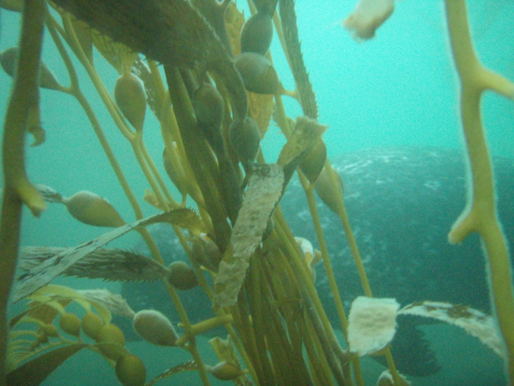 sm_P7134038.JPG