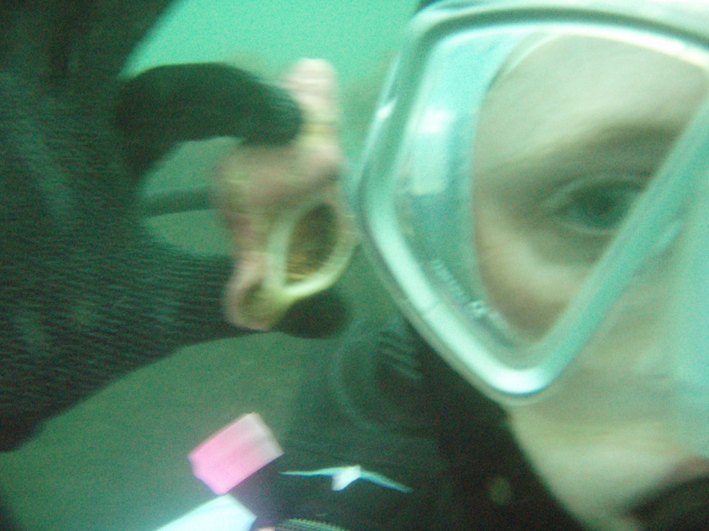 sm_P7134043.JPG