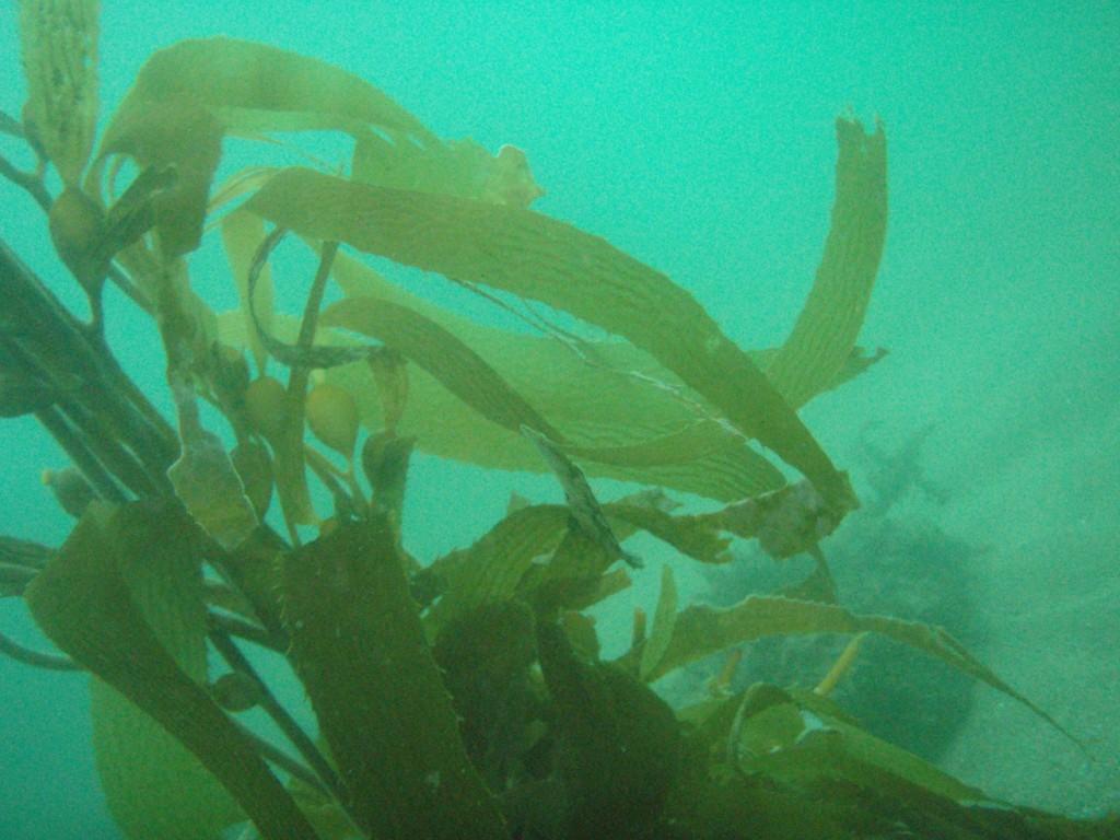 sm_P7134046.JPG