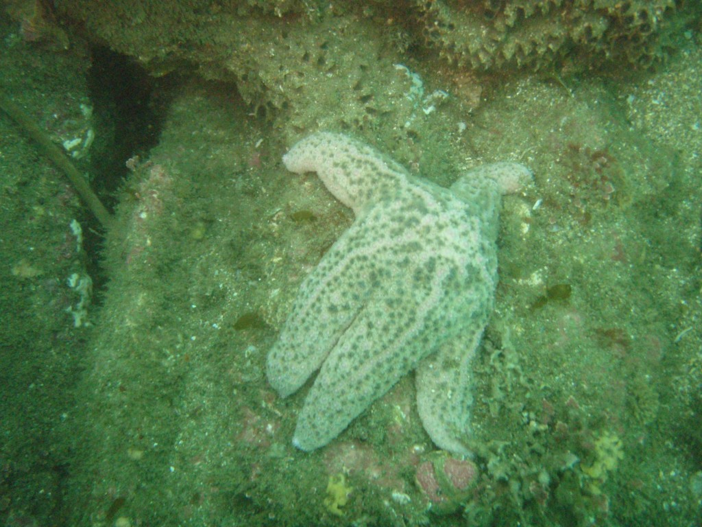 sm_P7134051.JPG