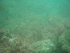 sm_P7134032.JPG