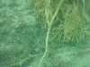 sm_P7134033.JPG