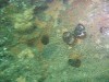 sm_P7134036.JPG