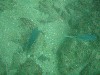 sm_P7134045.JPG
