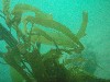 sm_P7134046.JPG