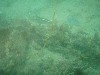 sm_P7134047.JPG