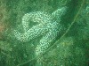 sm_P7134052.JPG