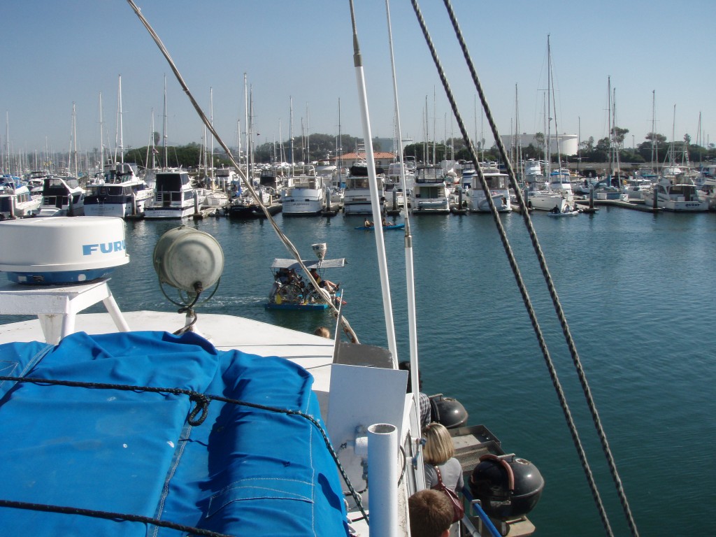 sm_PA256406.JPG