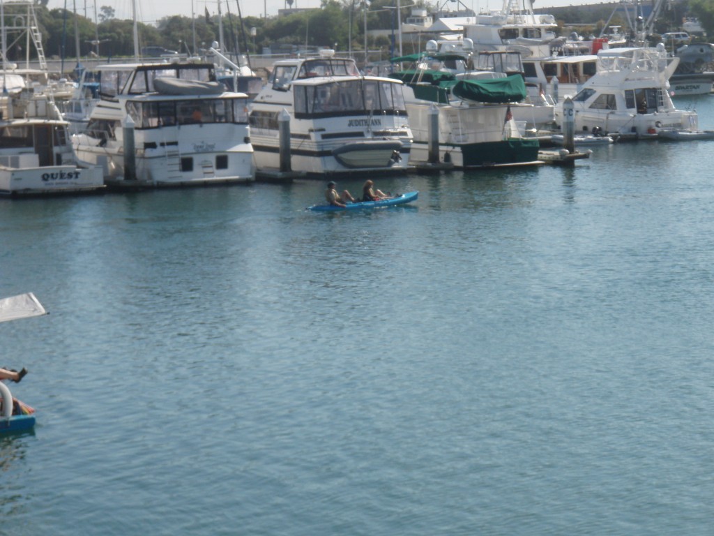 sm_PA256408.JPG
