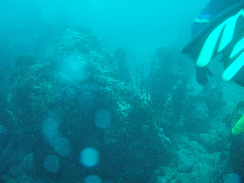 sm_PA256418.JPG
