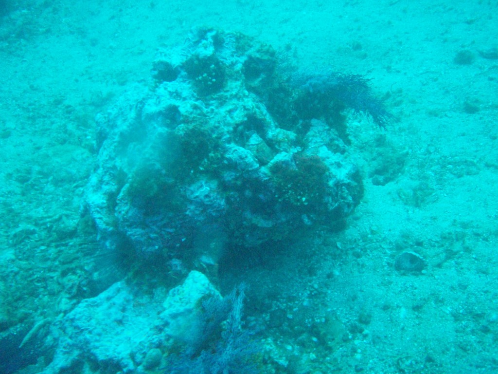 sm_PA256419.JPG