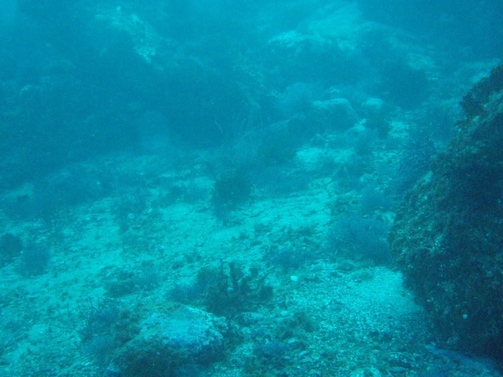 sm_PA256425.JPG