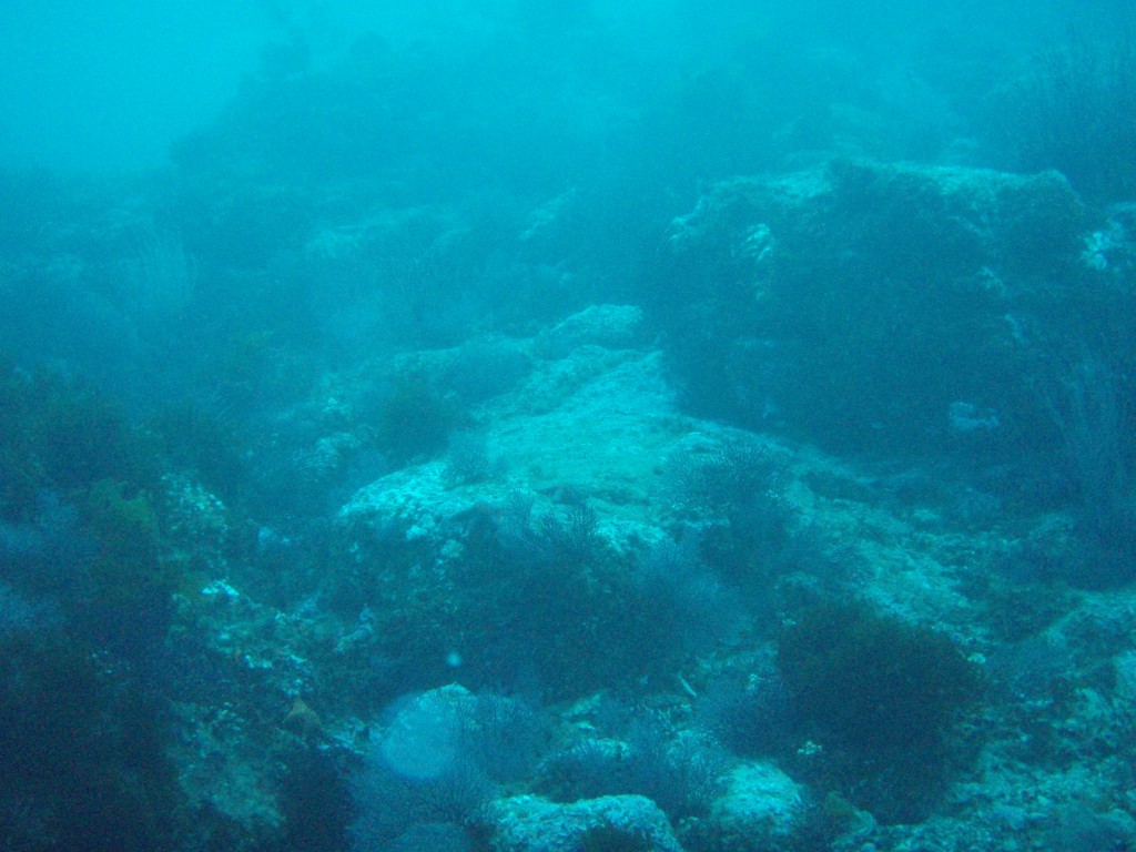 sm_PA256426.JPG