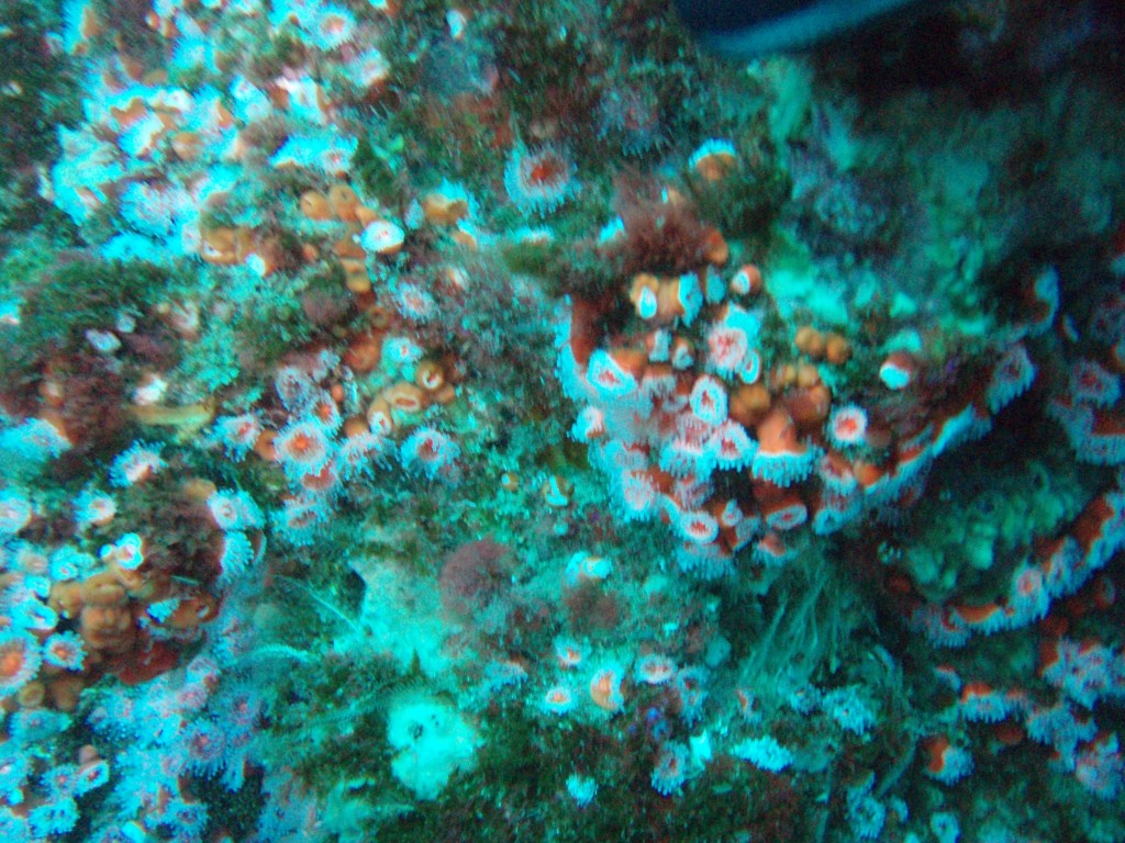 sm_PA256442.JPG