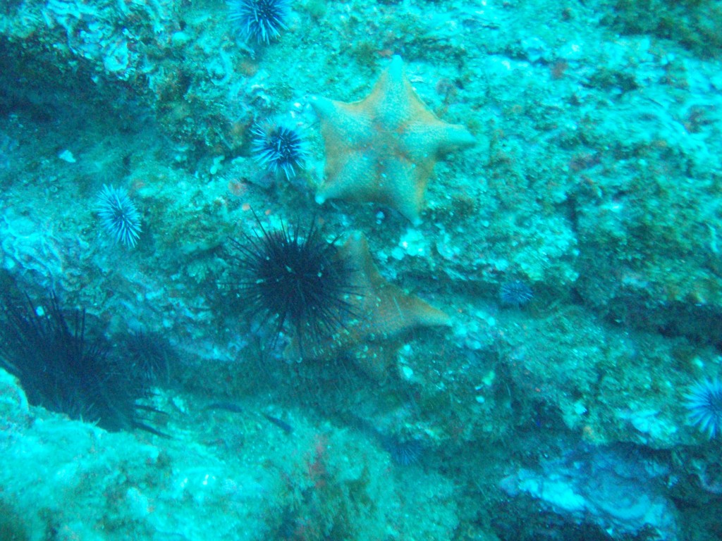sm_PA256470.JPG