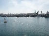 sm_PA256405.JPG