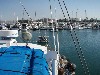sm_PA256406.JPG