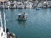 sm_PA256407.JPG