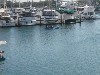sm_PA256408.JPG