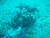 sm_PA256419.JPG