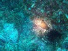 sm_PA256423.JPG