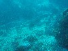 sm_PA256425.JPG