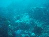 sm_PA256426.JPG