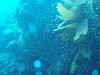 sm_PA256427.JPG